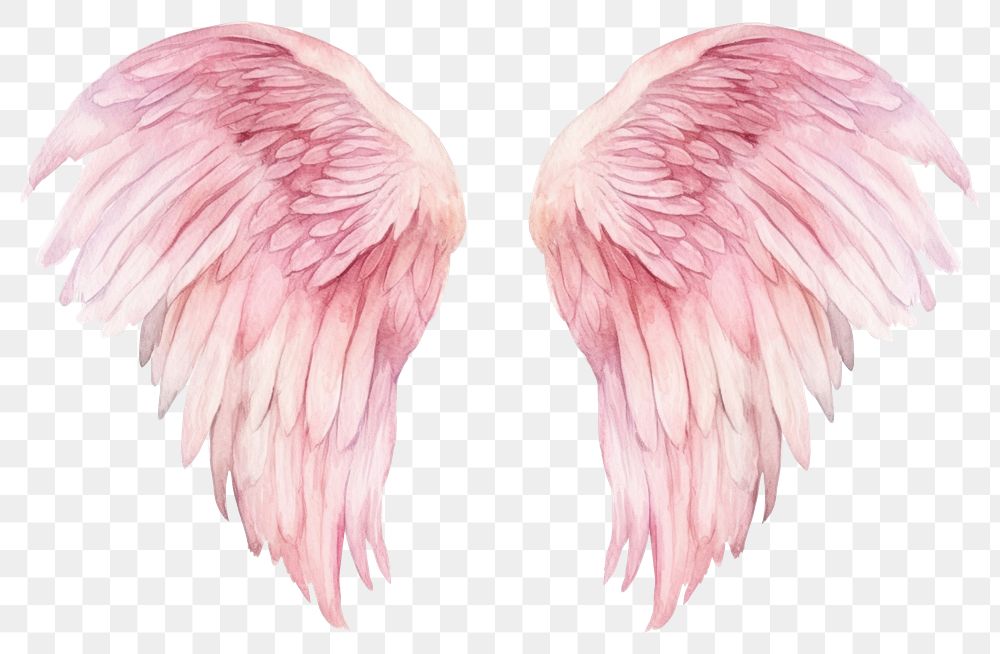 PNG Angel wing bird transparent background