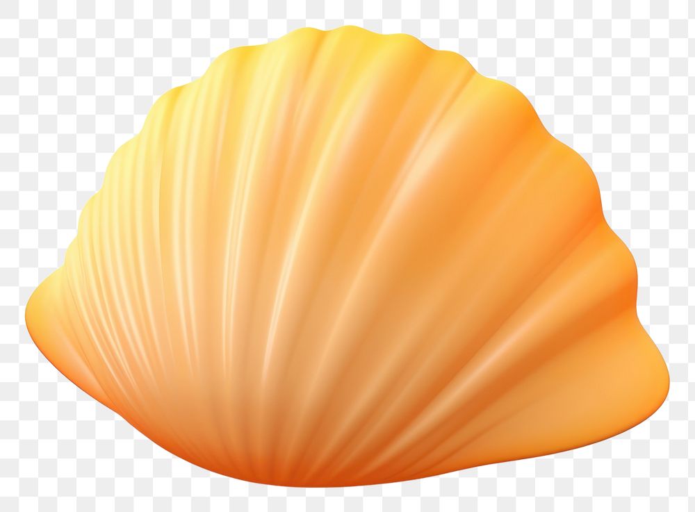 PNG Sea shell food white background invertebrate. AI generated Image by rawpixel.