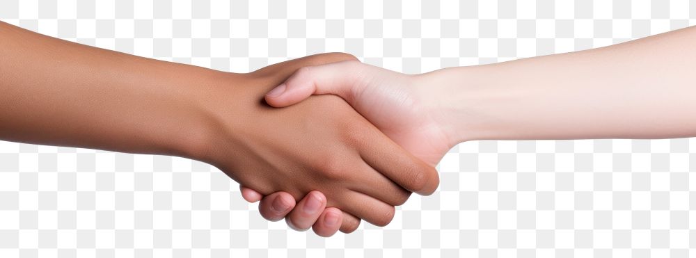 PNG Holding hand handshake adult white background. AI generated Image by rawpixel.