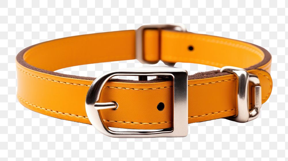 PNG Collar buckle belt white background. AI generated Image by rawpixel.