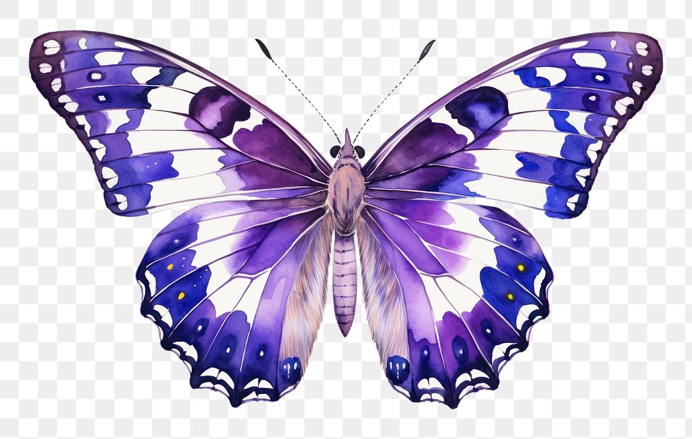 PNG Purple Emperor Butterfly butterfly insect animal. AI generated Image by rawpixel.