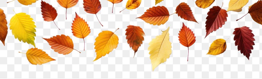 PNG Backgrounds leaves plant leaf. AI generated Image by rawpixel.