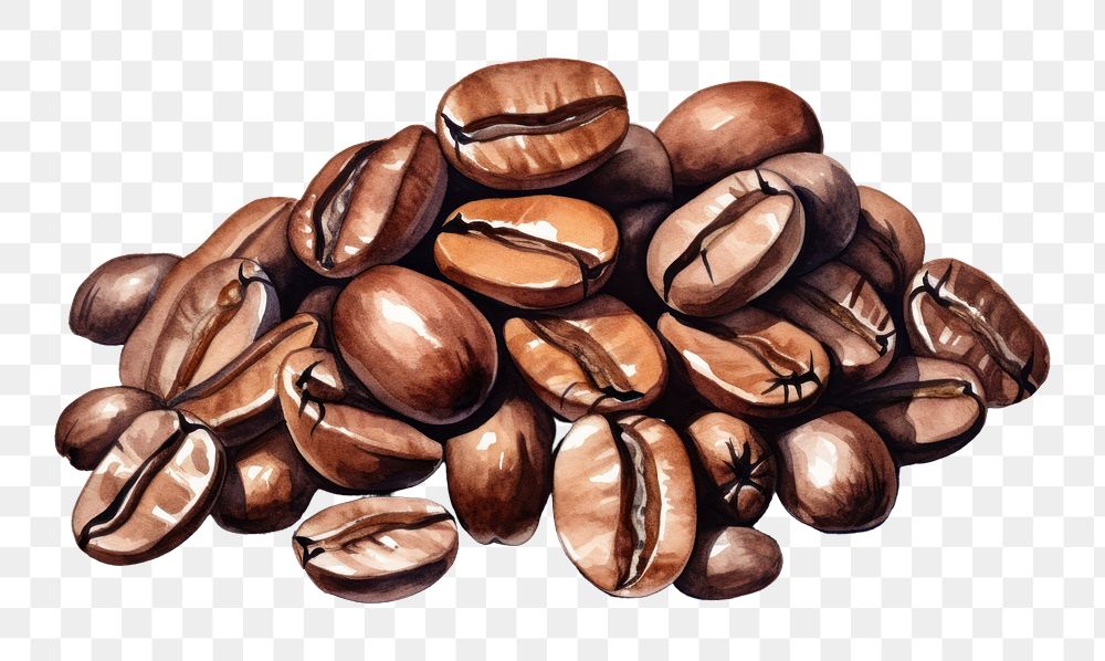 PNG Coffee food white background coffee beans. AI generated Image by rawpixel.