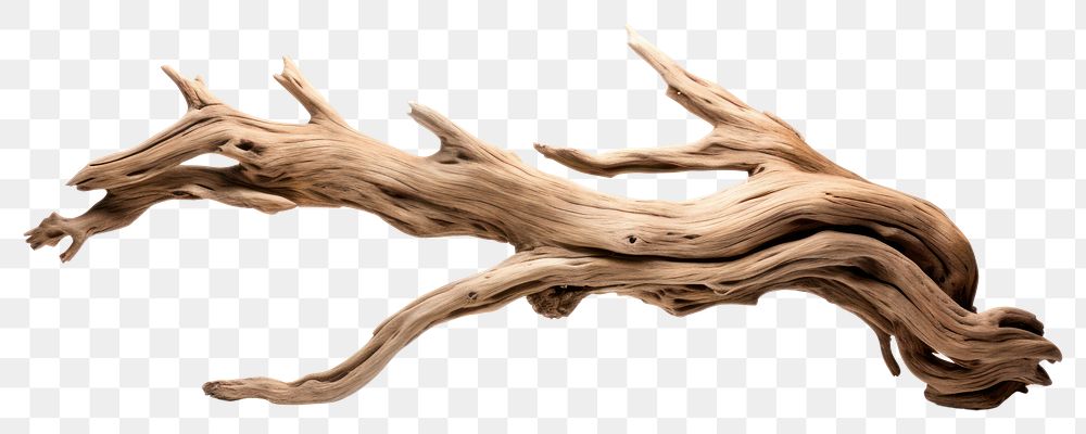 PNG Driftwood branch white background kangaroo. AI generated Image by rawpixel.