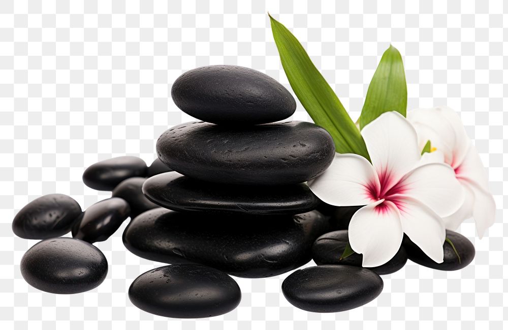 PNG Flower pebble black pill. 