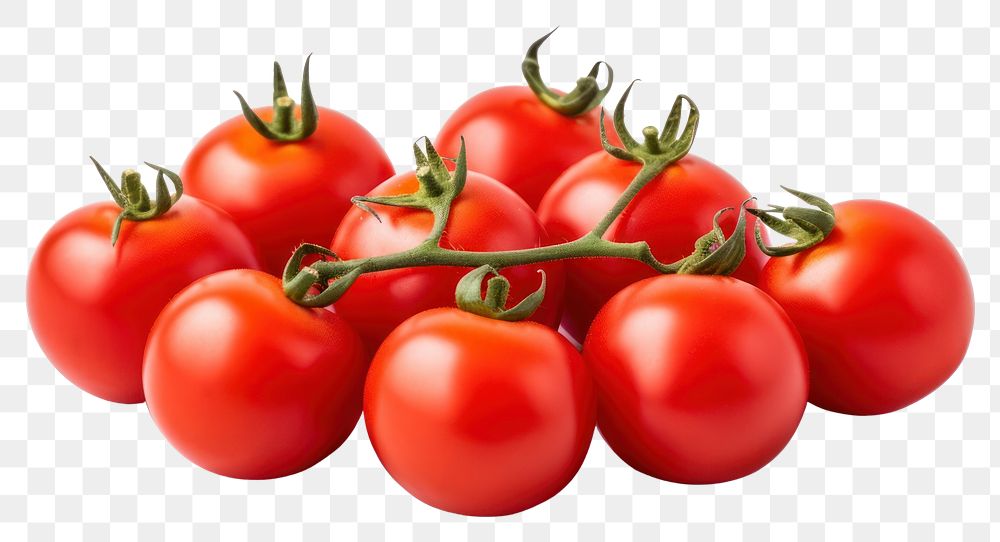 PNG Tomato vegetable fruit plant. AI generated Image by rawpixel.