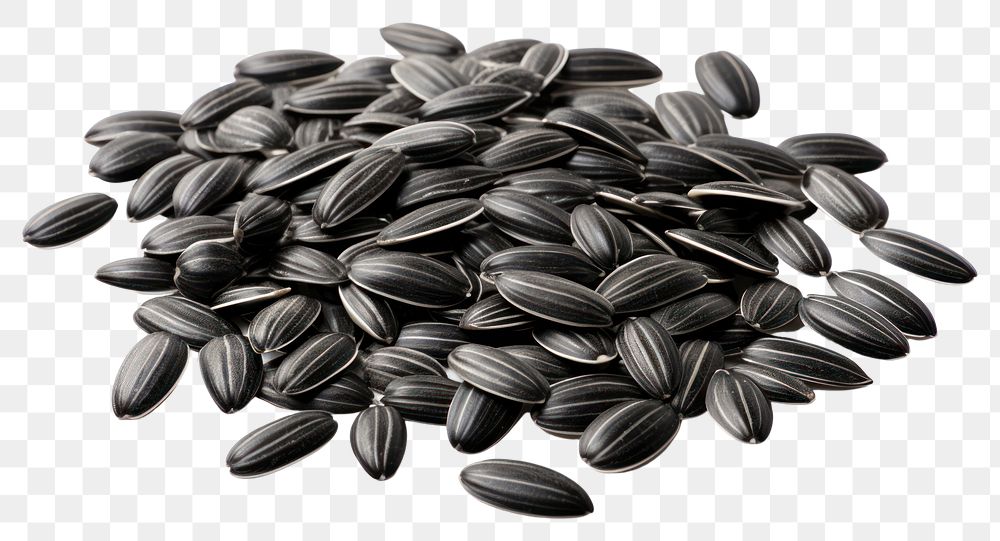 PNG Seed food white background sunflower seed. AI generated Image by rawpixel.