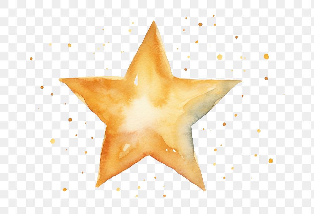 PNG Star starfish circle transparent background