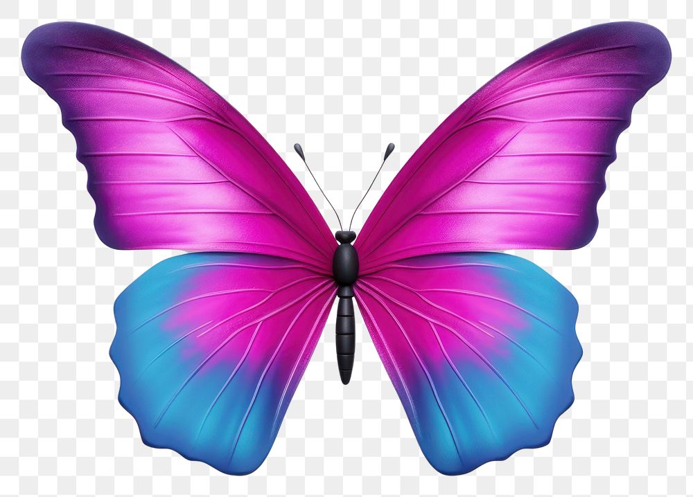 PNG Butterfly animal insect purple. 