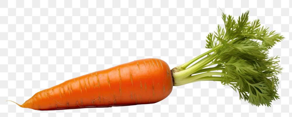 PNG Vegetable carrot plant food. AI generated Image by rawpixel.