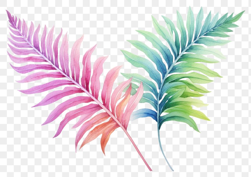 PNG Fern plant leaf transparent background. AI generated Image by rawpixel.