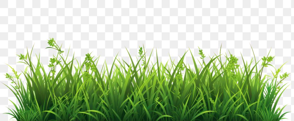 PNG Grass outdoors nature plant. AI generated Image by rawpixel.
