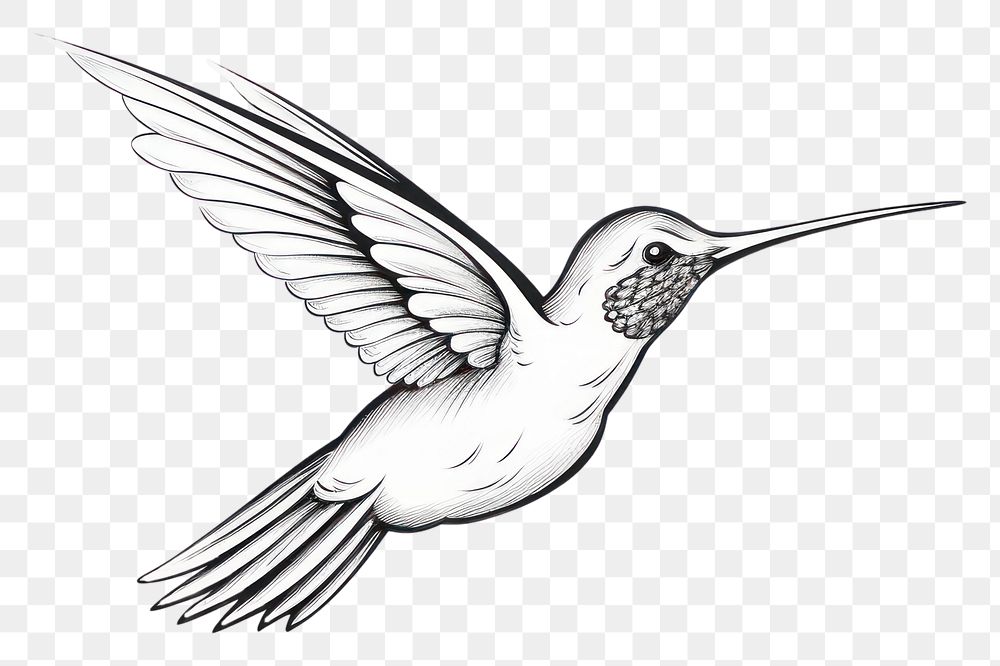 PNG Hummingbird drawing animal flying. AI generated Image by rawpixel.