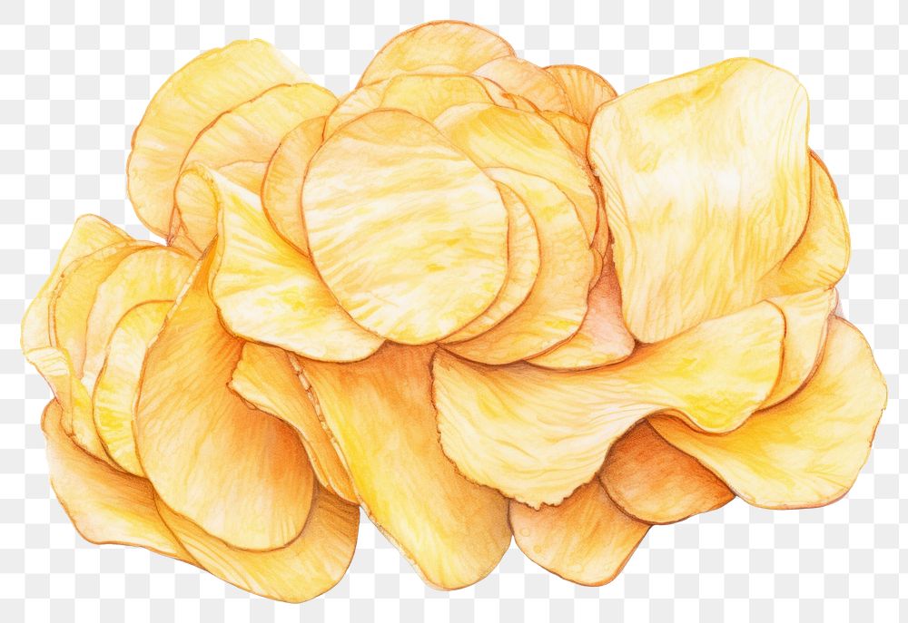 PNG Food potato chip, digital paint illustration.