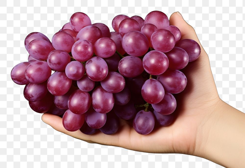 PNG Grapes fruit plant food. 