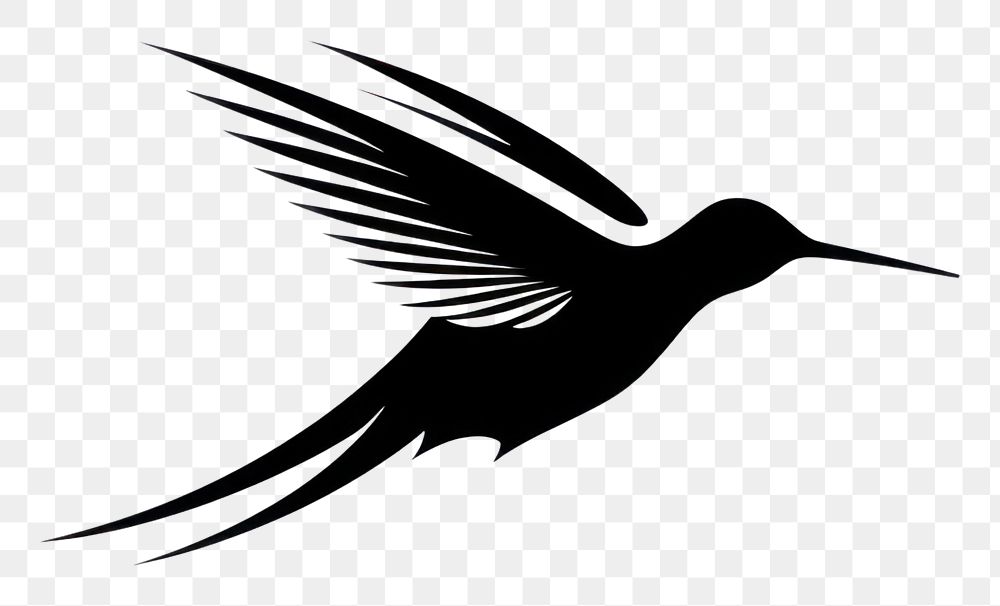 PNG Hummingbird silhouette animal monochrome. AI generated Image by rawpixel.