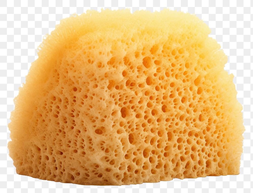 PNG Sponge food white background cantaloupe. AI generated Image by rawpixel.