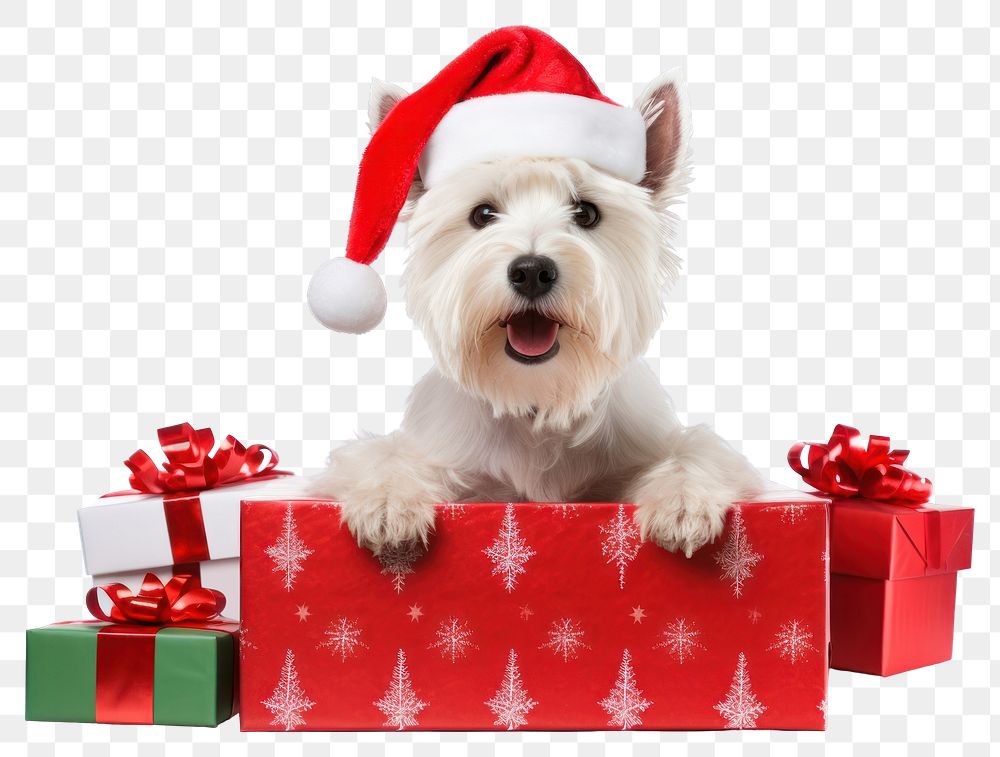 PNG Gift dog christmas mammal. 