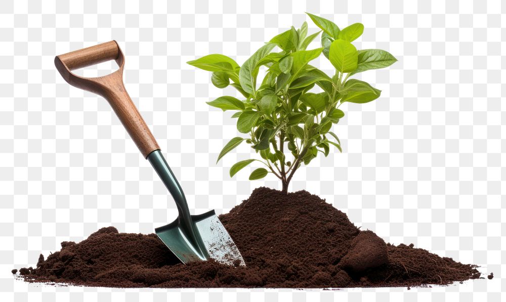 PNG Gardening plant soil tool