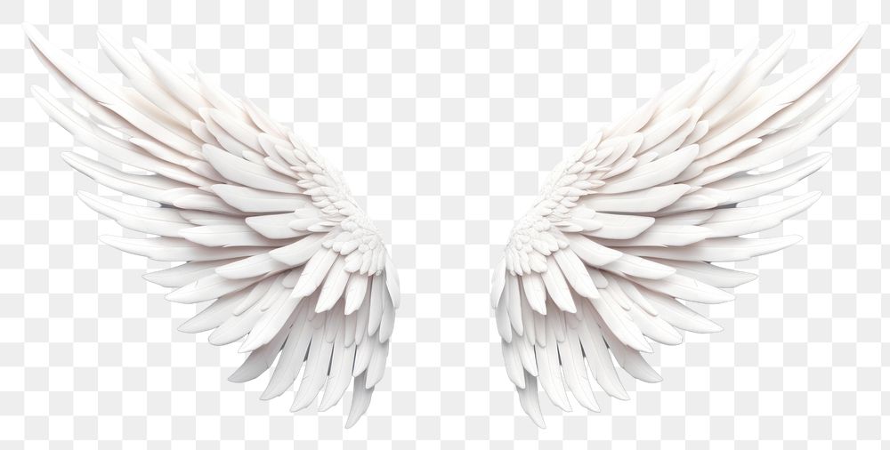 PNG Angel white wing art