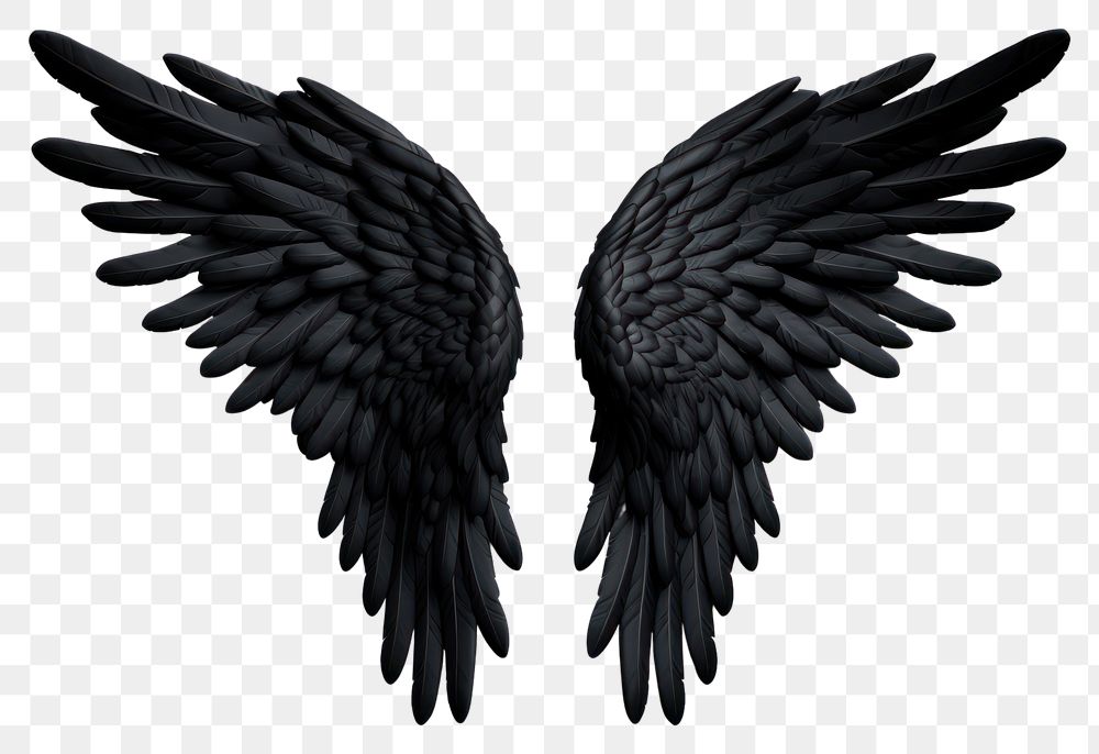 PNG Angel black bird wing. AI generated Image by rawpixel.