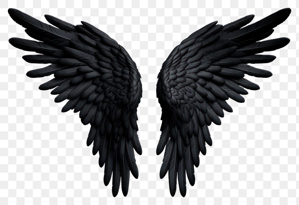 PNG Angel black bird wing. | Premium PNG - rawpixel