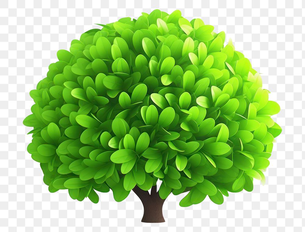 PNG Green plant leaf tree. AI generated Image by rawpixel.