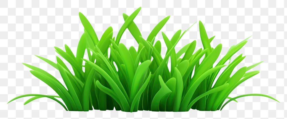 PNG Grass green plant lawn. 