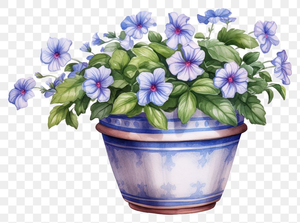 PNG Flower flowerpot plant vase. AI generated Image by rawpixel.