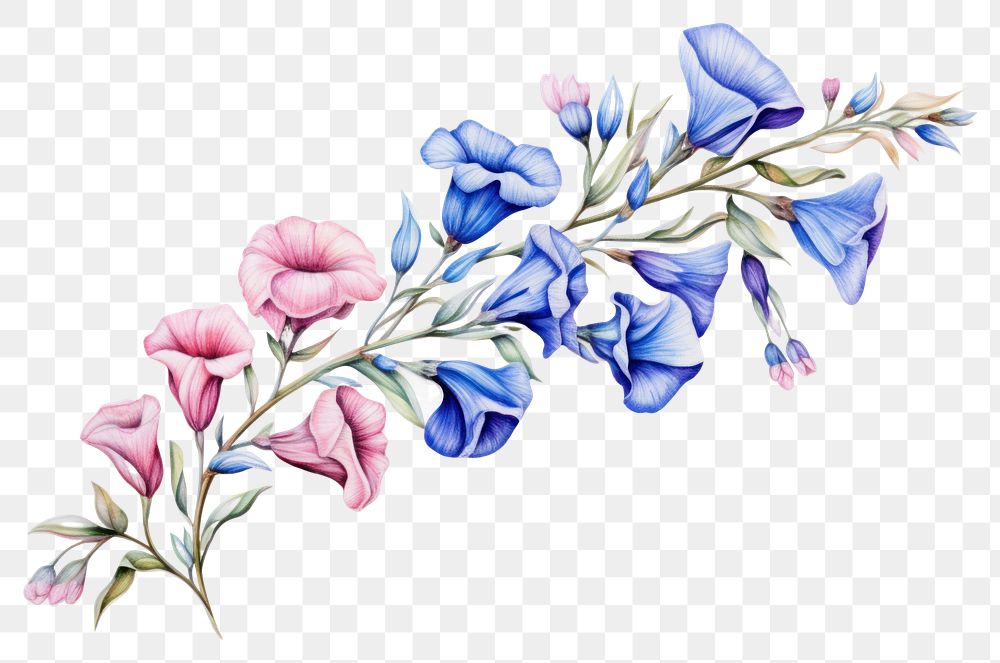 PNG Flower pattern plant art. AI generated Image by rawpixel.