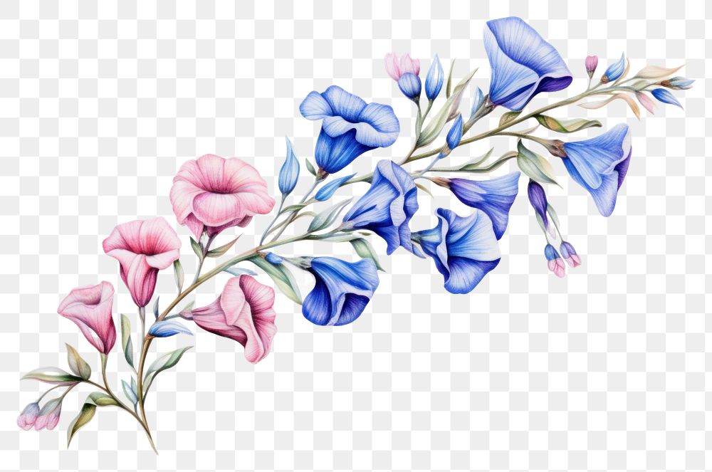 PNG Flower pattern plant art. 