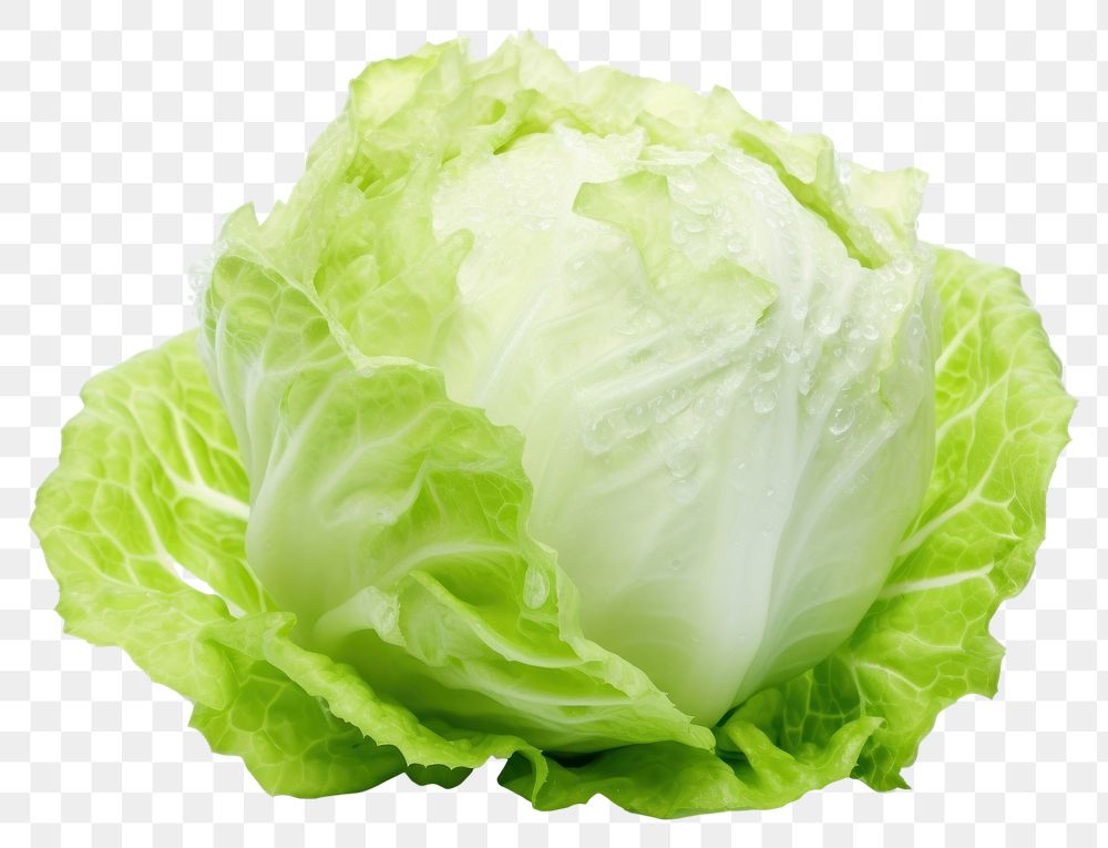 PNG Lettuce vegetable plant food. 