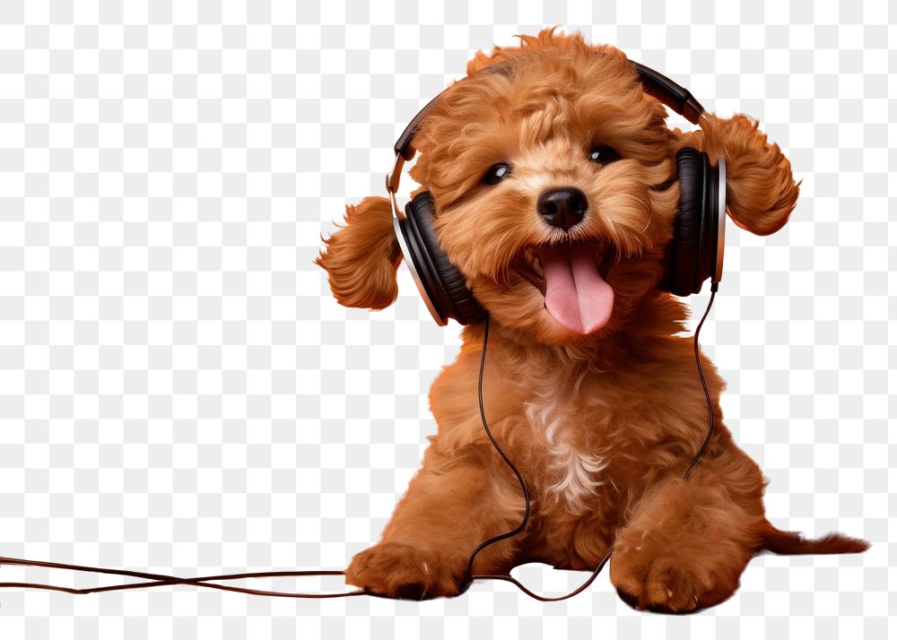 PNG Puppy headphones mammal animal. AI generated Image by rawpixel.