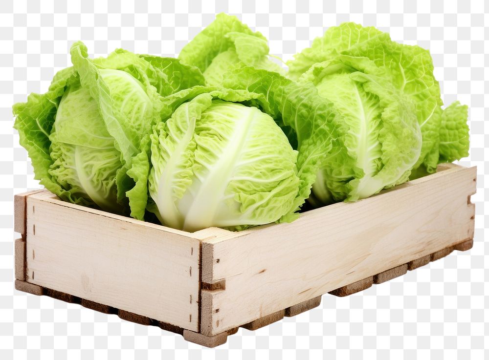 PNG Lettuce vegetable crate plant. 