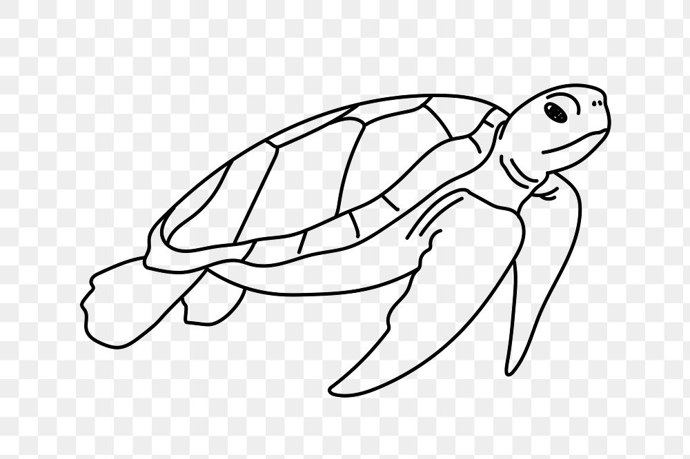 PNG turtle marine life doodle illustration, transparent background