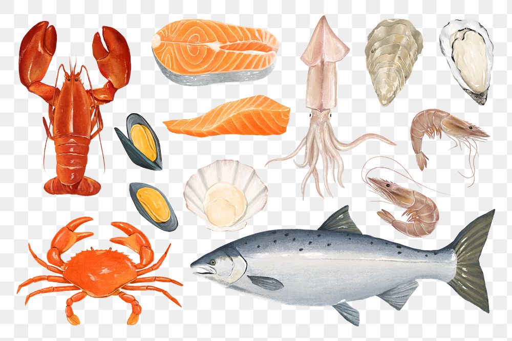 PNG Fresh seafood, food collage element set, transparent background