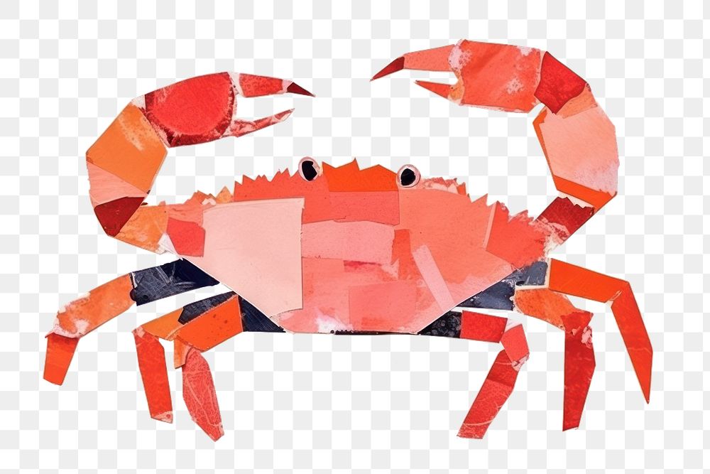 PNG Crab seafood animal art. 