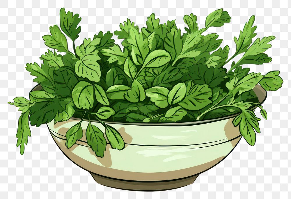 PNG Parsley plant ingredient vegetable. AI generated Image by rawpixel.