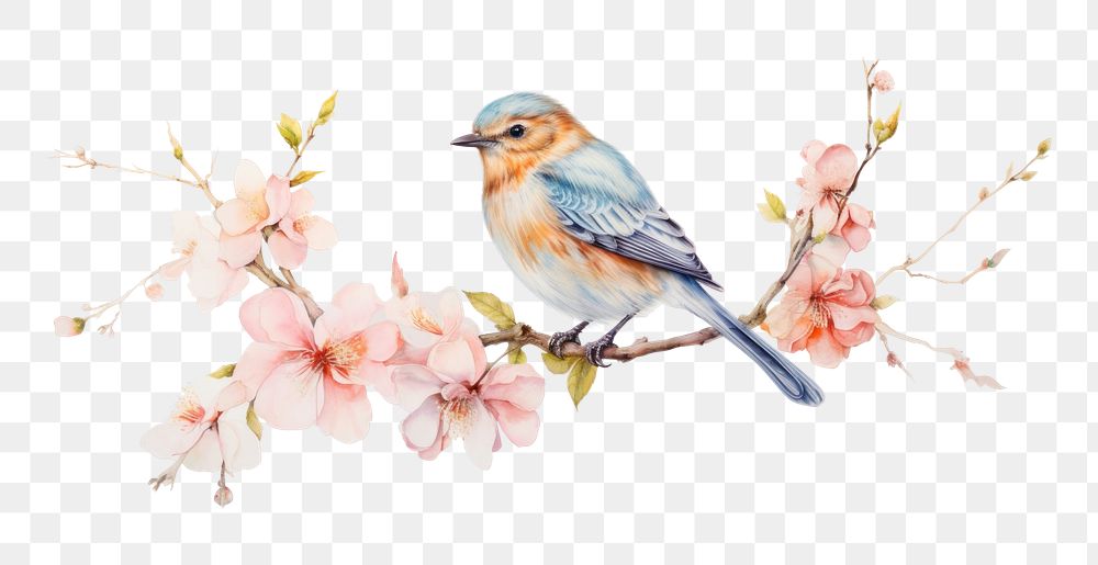PNG Bird blossom flower animal