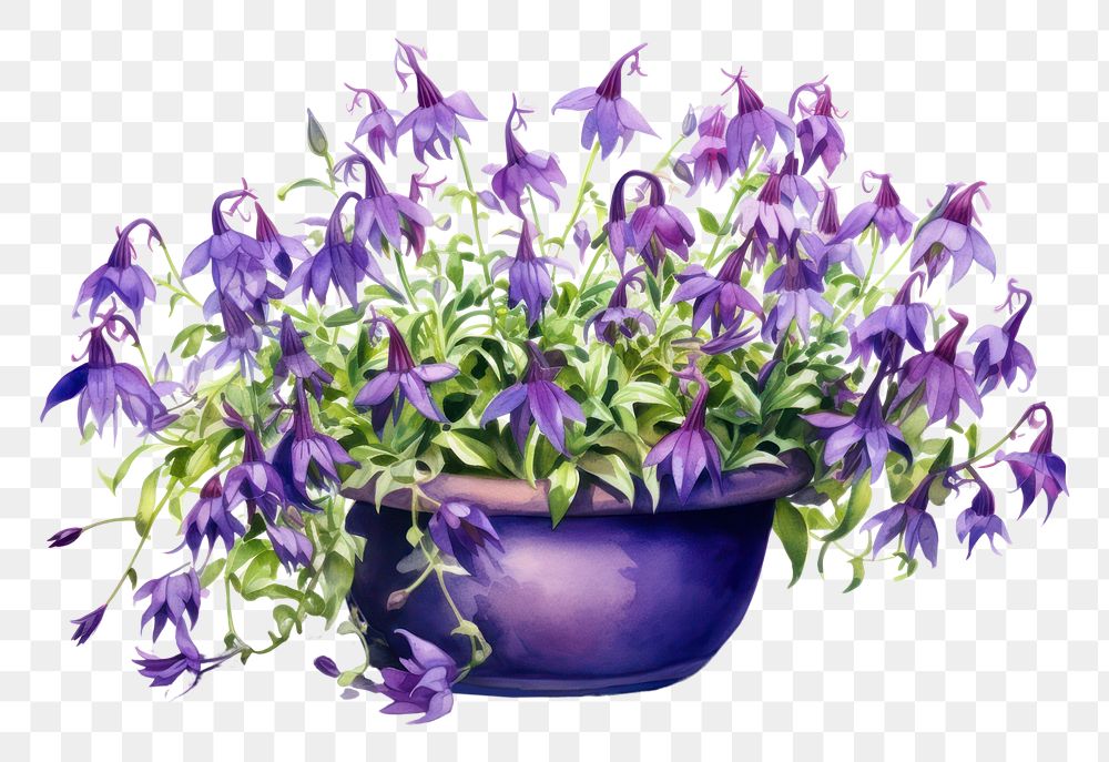 PNG Lavender flower purple plant. AI generated Image by rawpixel.