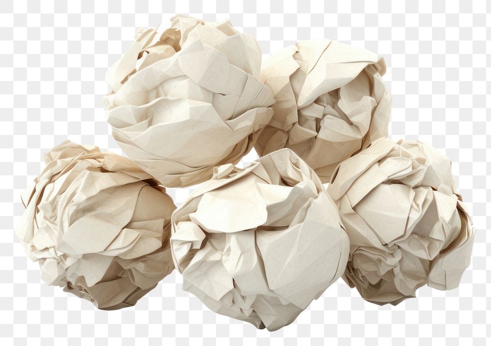 PNG Paper crumpled white plant. AI generated Image by rawpixel.