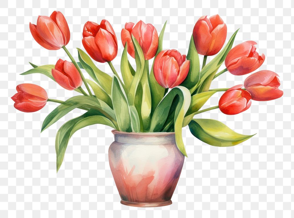 PNG Tulip vase painting flower. AI generated Image by rawpixel.