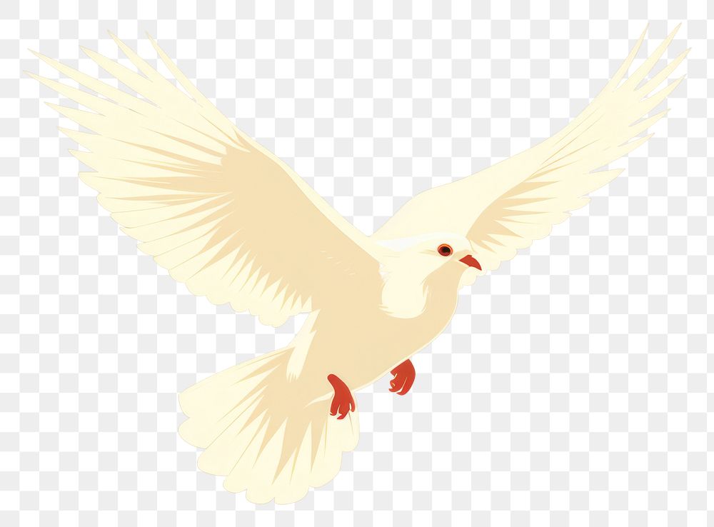PNG White pigeon flying wildlife animal bird. AI generated Image by rawpixel.