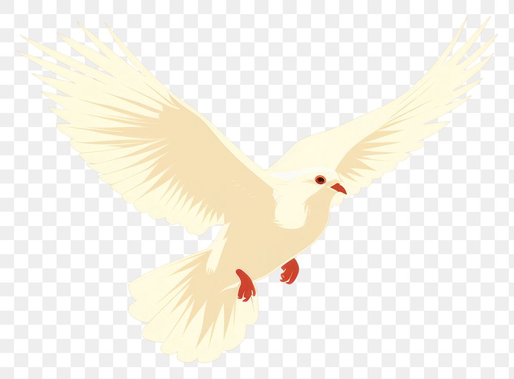 PNG White pigeon flying wildlife animal bird. 