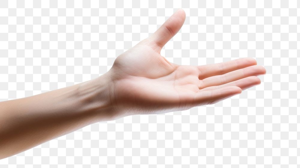 PNG Hand finger person white background. 