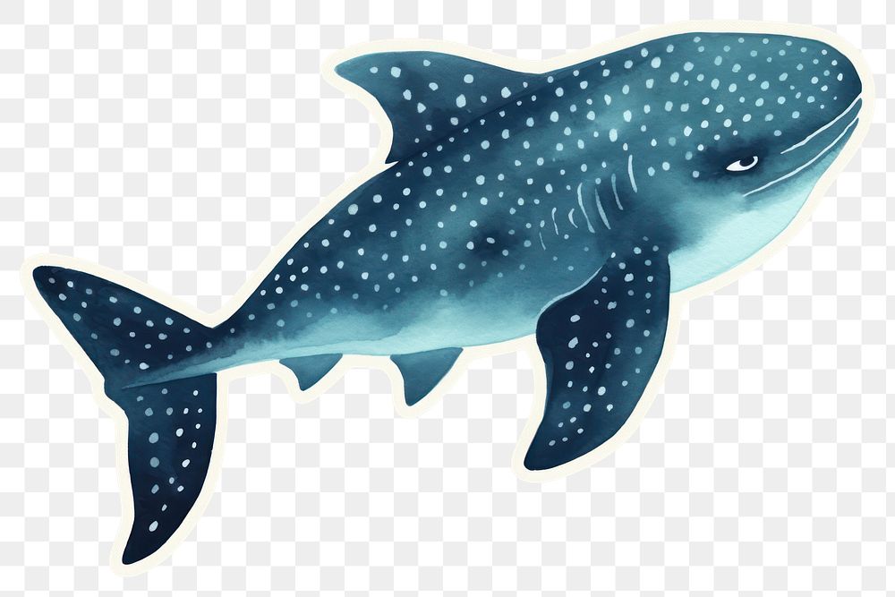 PNG Whale Shark shark animal mammal. AI generated Image by rawpixel.