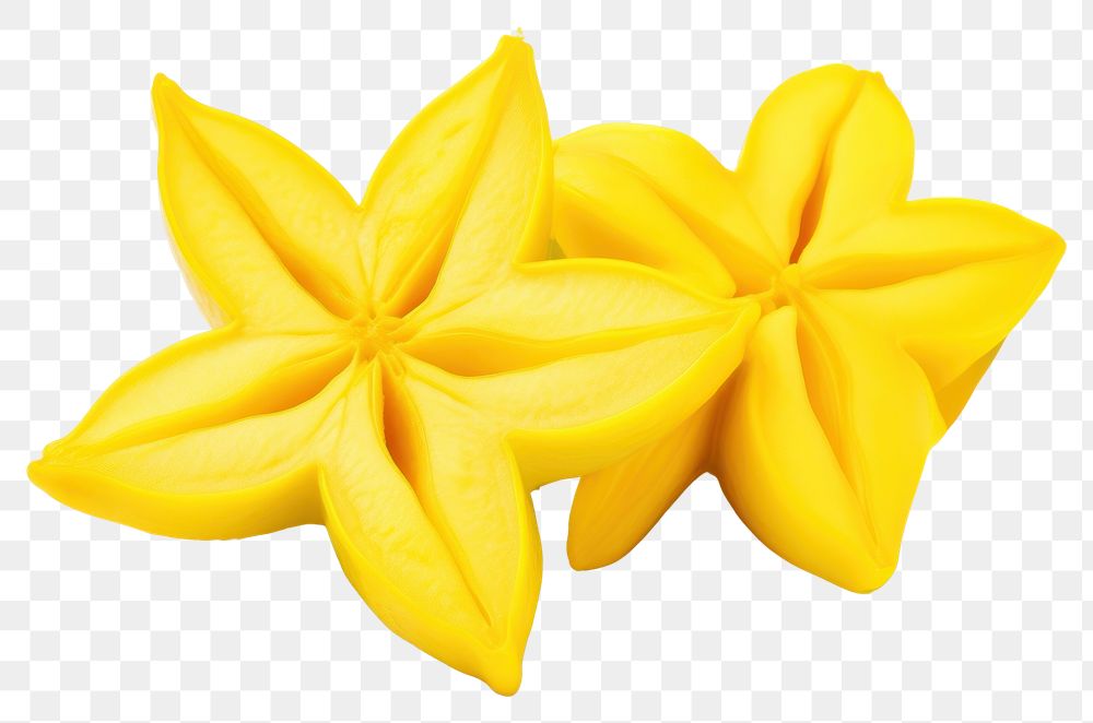 PNG Carambola star fruit flower plant petal. AI generated Image by rawpixel.