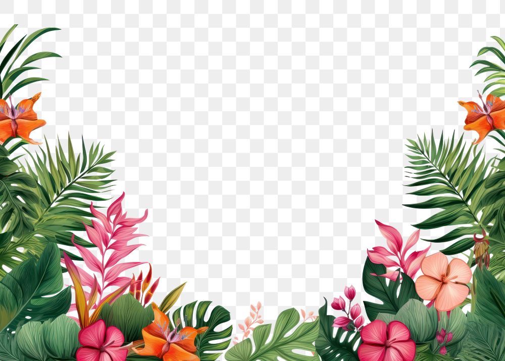 PNG Jungle leaves flower backgrounds outdoors. 