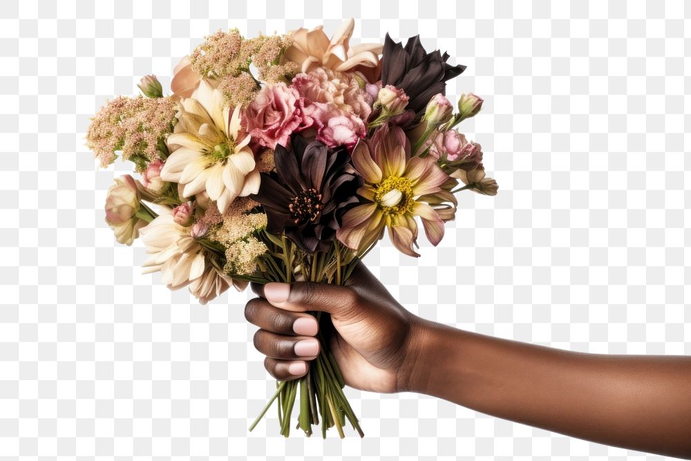 PNG Flower bouquet hand holding plant. 