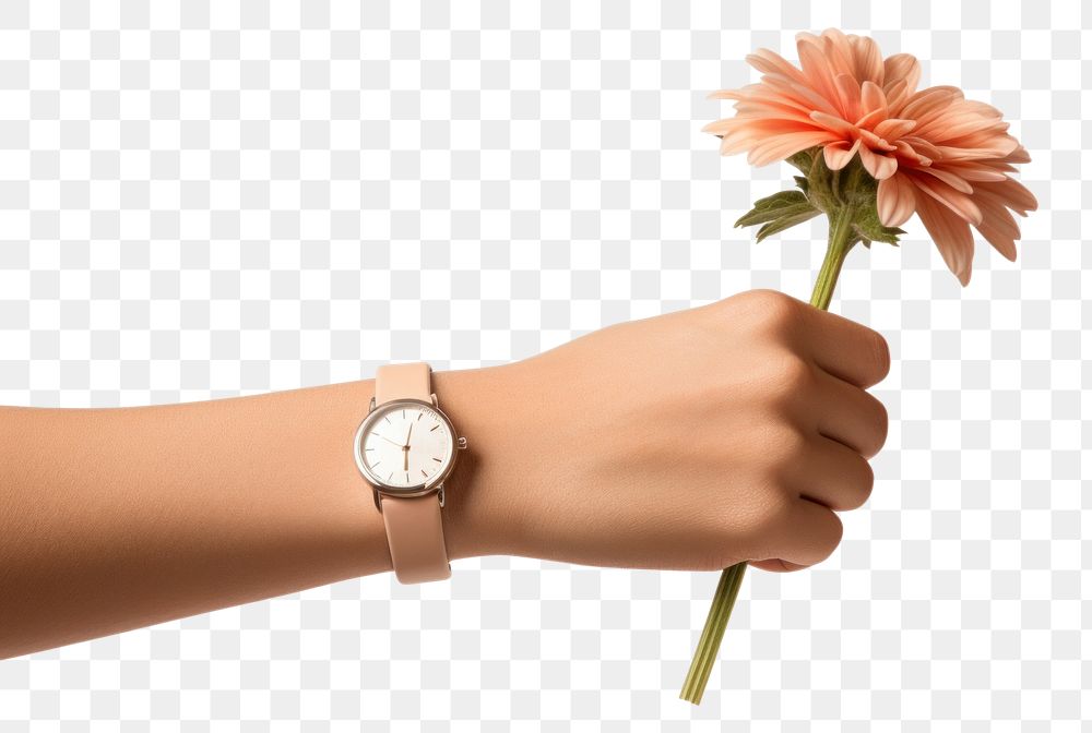 PNG Flower hand wristwatch finger. AI generated Image by rawpixel.